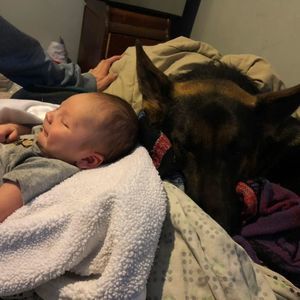 Meet your Posher, Ian